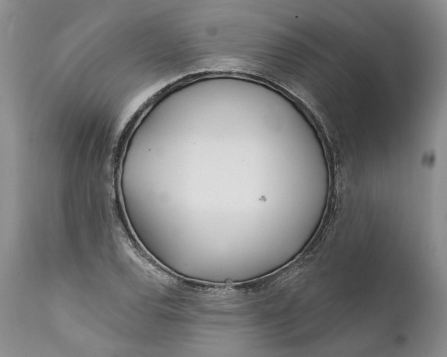 X0000112161120200908281357