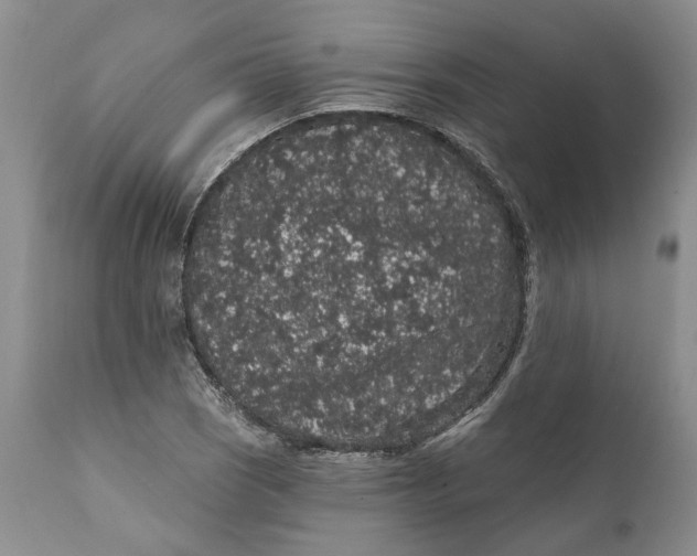 X0000112161121200908281357