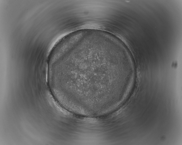 X0000112161123200908281357