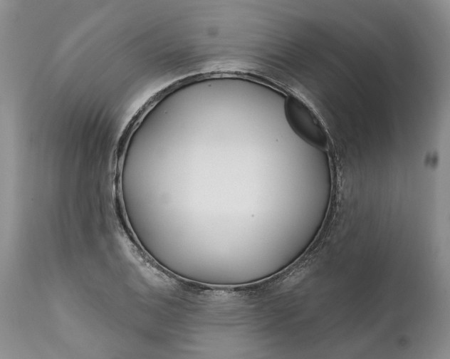 X0000112161124200908281357