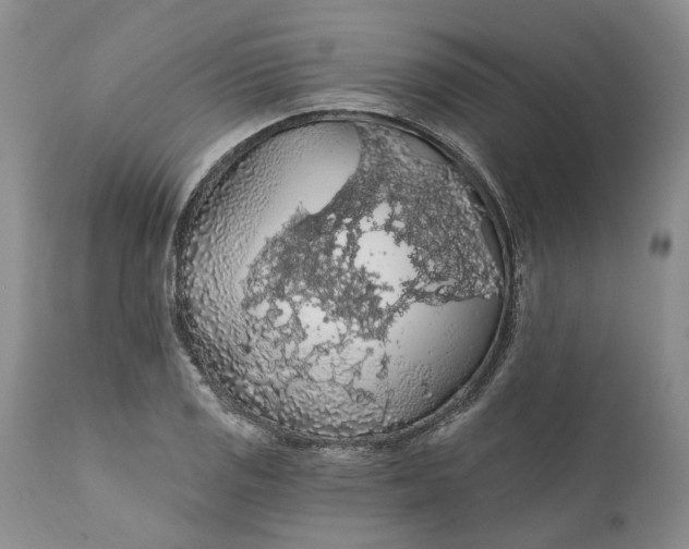 X0000112161125200908281357