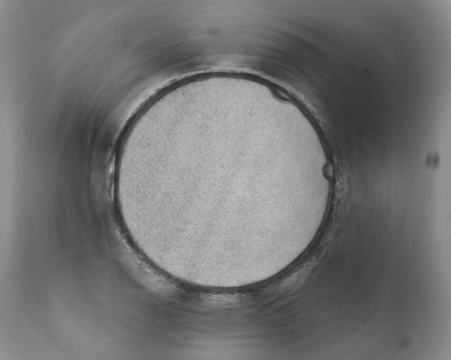 X0000112161126200908281357