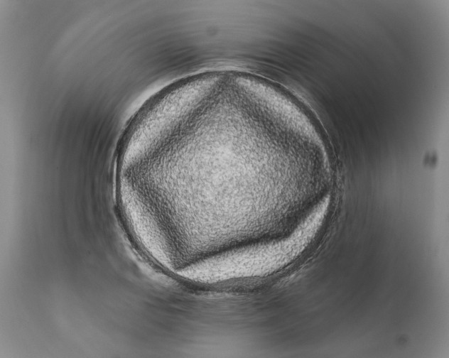 X0000112161127200908281357