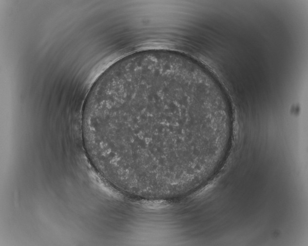 X0000112161129200908281357