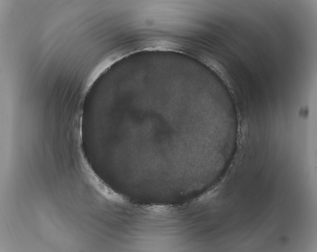 X0000112161130200908281357