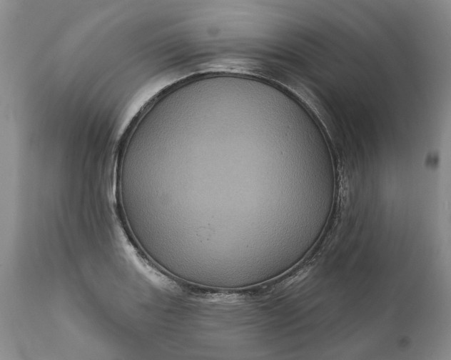 X0000112161131200908281357