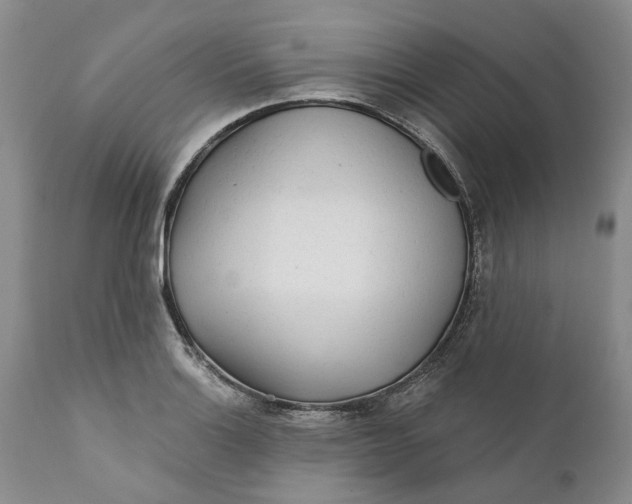 X0000112161132200908281357