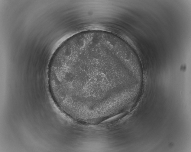 X0000112161133200908281357