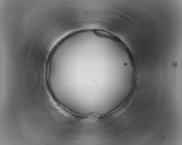 X0000112161134200908281357