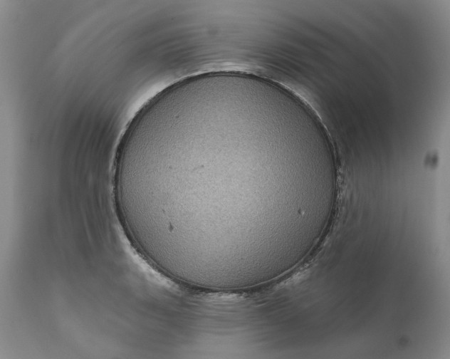 X0000112161135200908281358