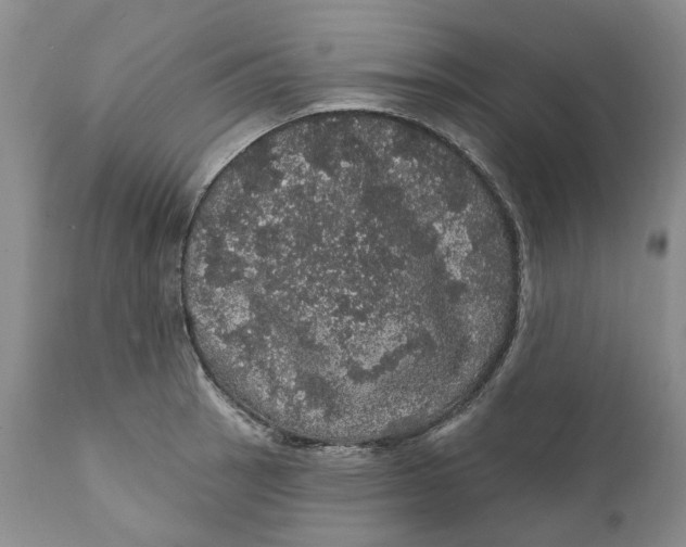 X0000112161137200908281358