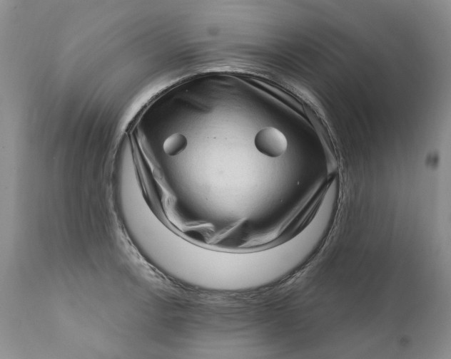 X0000112161138200908281358