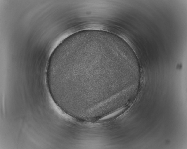 X0000112161139200908281358