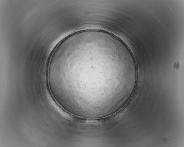 X0000112161142200908281358