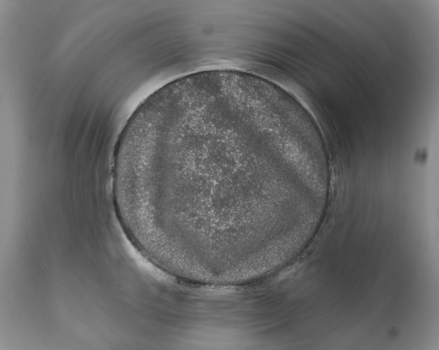 X0000112161143200908281358