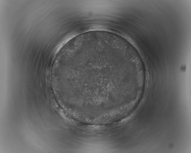 X0000112161145200908281358