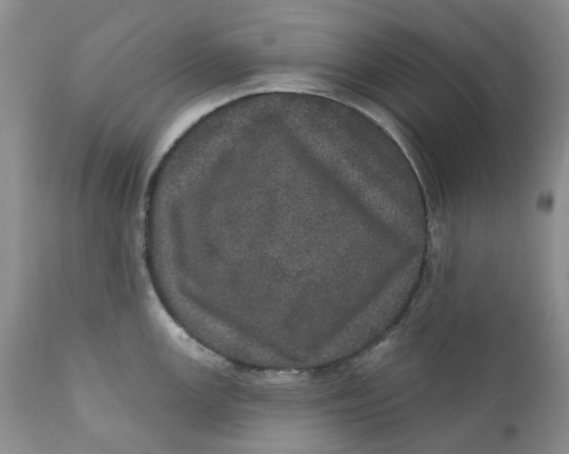 X0000112161147200908281358