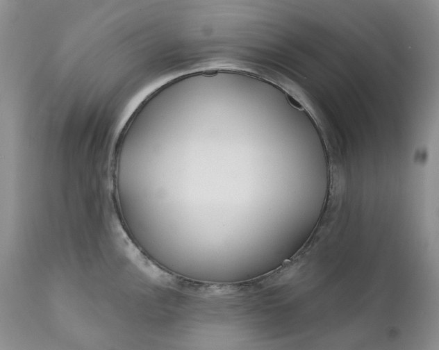 X0000112161148200908281358