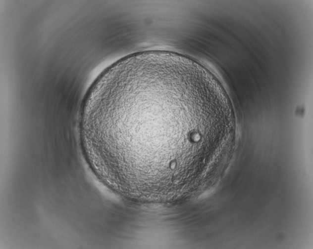 X0000112161149200908281358