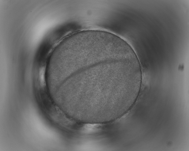 X0000112161150200908281358