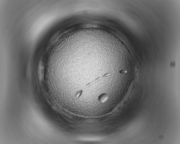 X0000112161151200908281358