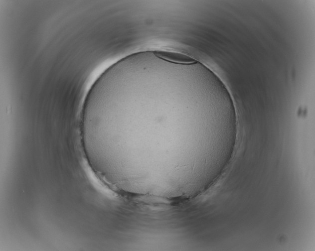 X0000112161152200908281358