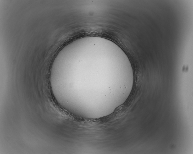 X0000112161153200908281357