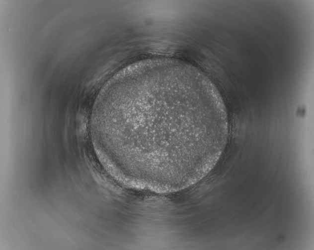 X0000112161154200908281357