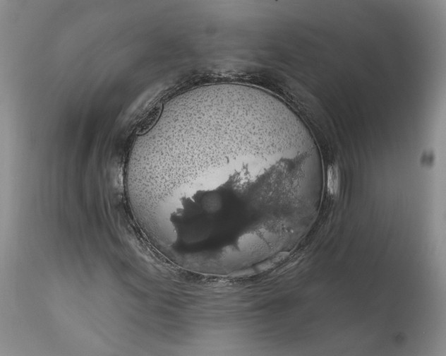 X0000112161155200908281357