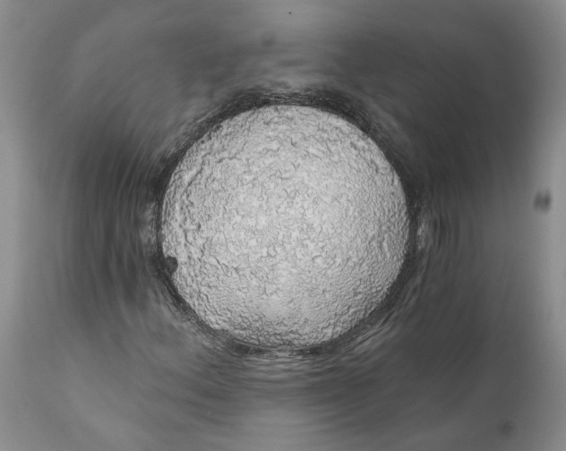 X0000112161156200908281357