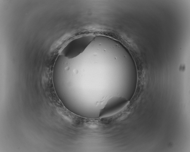 X0000112161157200908281357