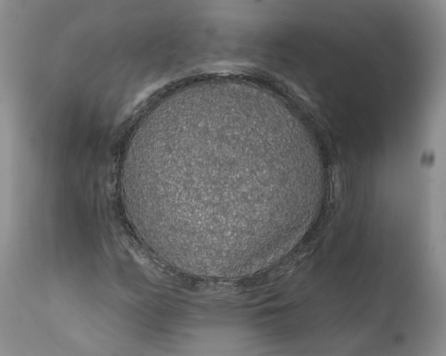 X0000112161158200908281357