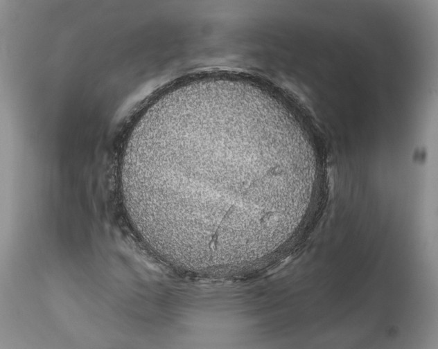 X0000112161159200908281357