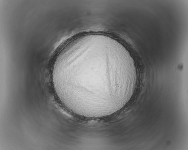 X0000112161160200908281357