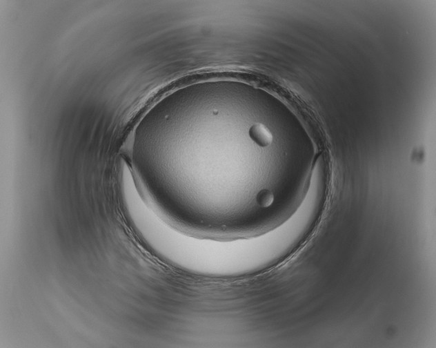 X0000112161161200908281357