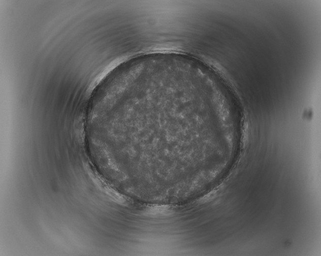 X0000112161162200908281357