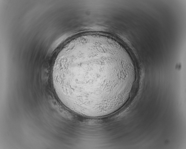 X0000112161163200908281357