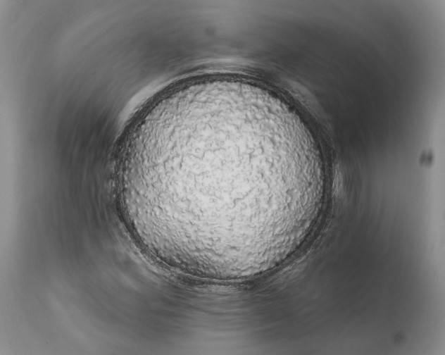 X0000112161164200908281357