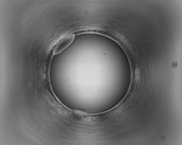 X0000112161165200908281357