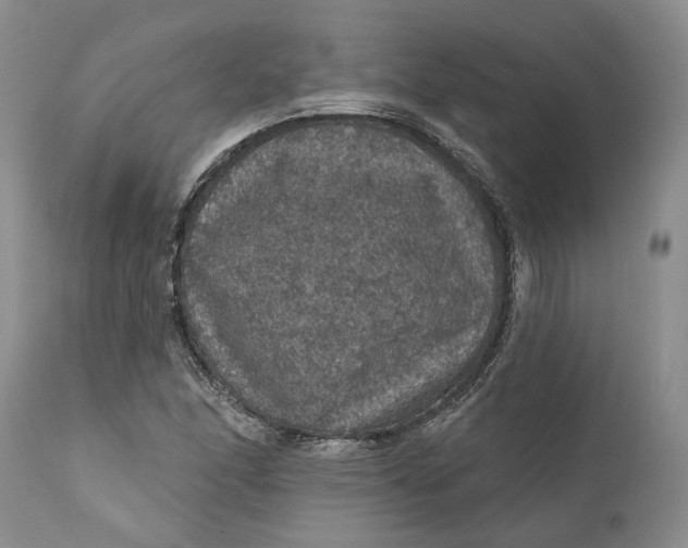 X0000112161166200908281357