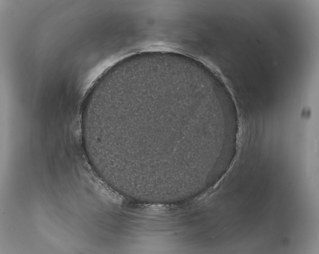 X0000112161167200908281357