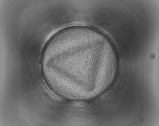 X0000112161168200908281357