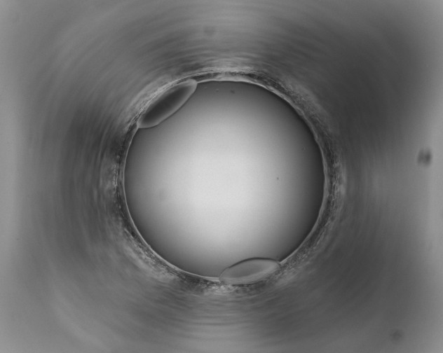 X0000112161169200908281357