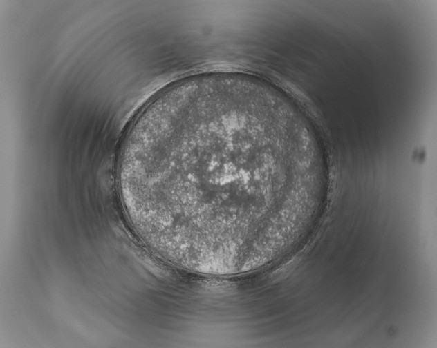 X0000112161170200908281357