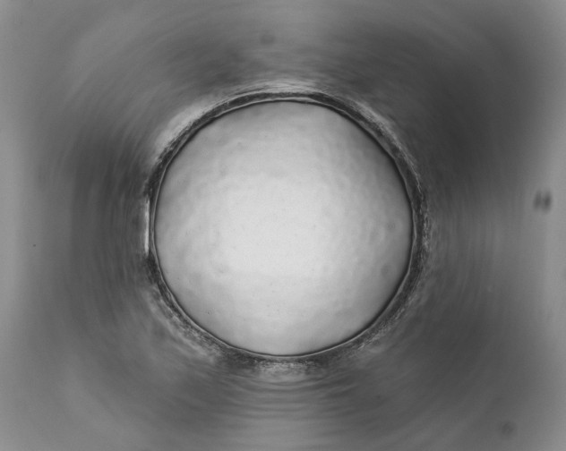 X0000112161171200908281357