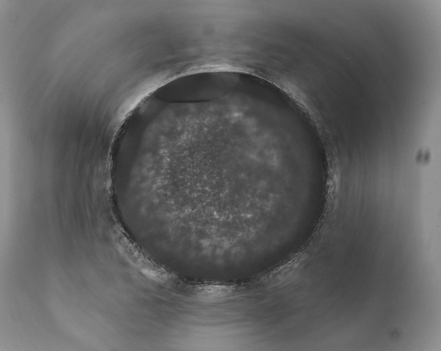 X0000112161173200908281357