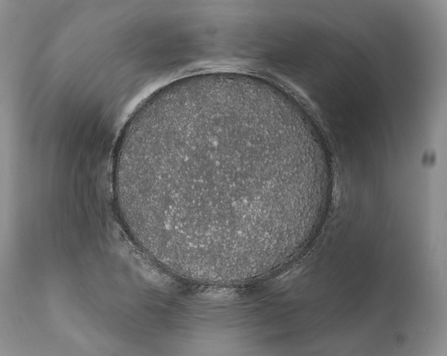 X0000112161174200908281357