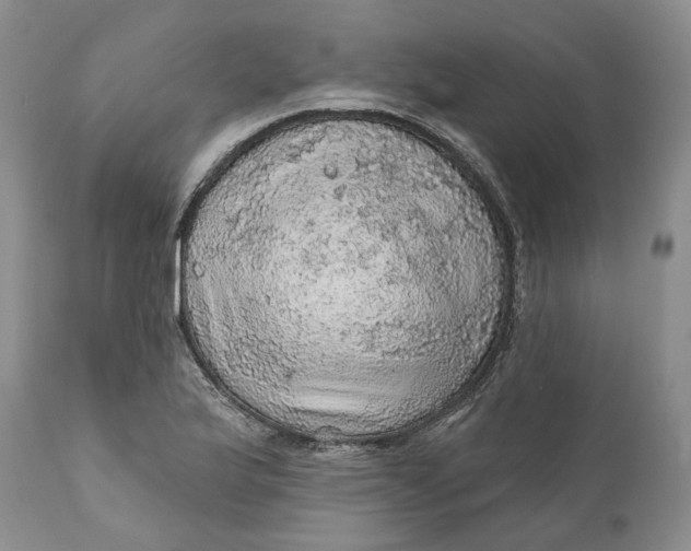 X0000112161175200908281357