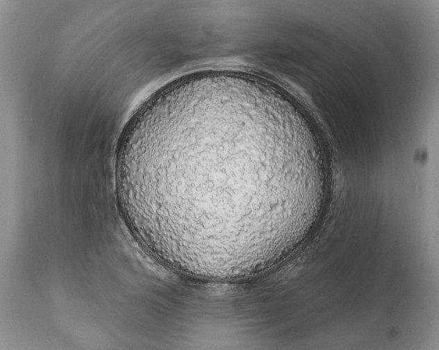 X0000112161176200908281357