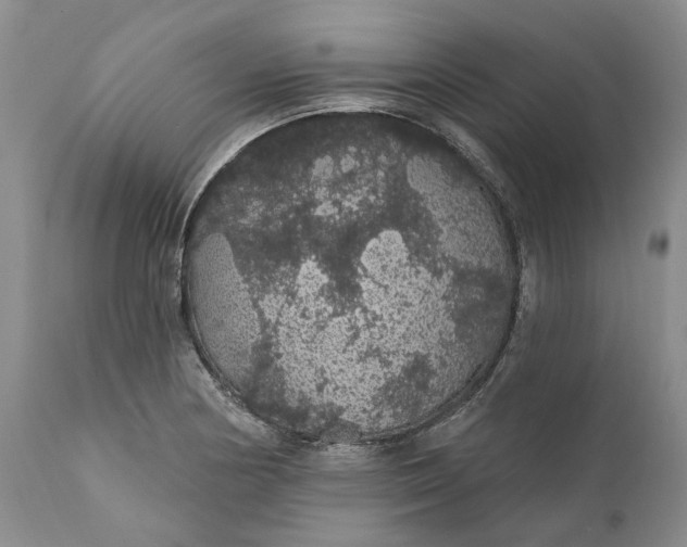 X0000112161178200908281357